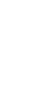 puščica